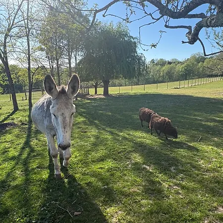 Guest house Les Vergers D'anjoy