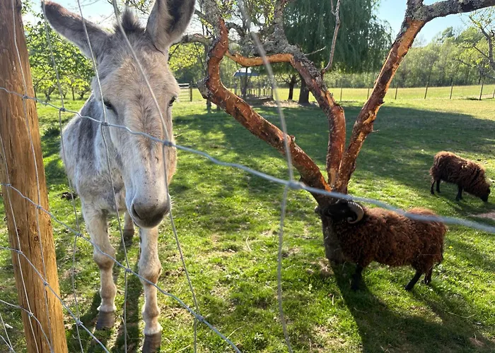 Les Vergers D'anjoy Guest house Montesquieu (Tarn-et-Garonne)