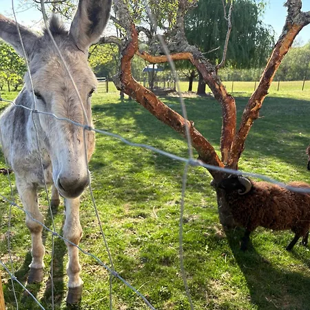 Les Vergers D'anjoy 招待所 Montesquieu (Tarn-et-Garonne)