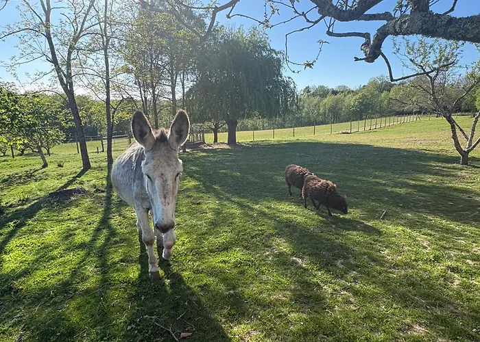 招待所 Les Vergers D'anjoy